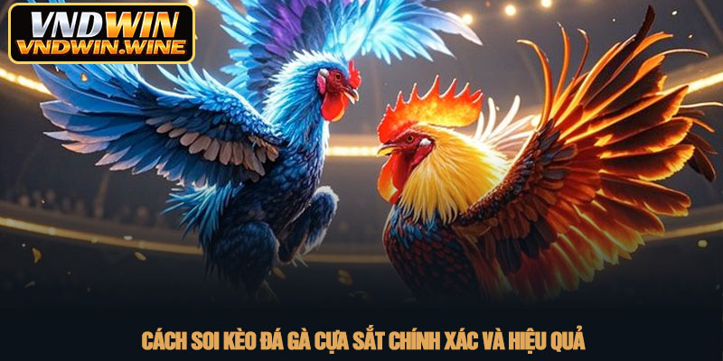 Đá gà cựa sắt - Đỉnh cao giải trí trực tuyến tại VNDWIN 3 Cách soi kèo đá gà cựa sắt chính xác và hiệu quả