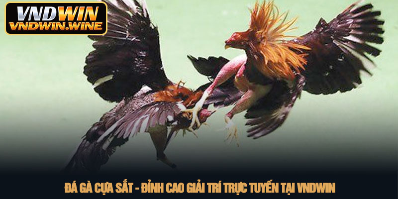 Đá gà cựa sắt - Đỉnh cao giải trí trực tuyến tại VNDWIN 3 Đá gà cựa sắt - Đỉnh cao giải trí trực tuyến tại VNDWIN