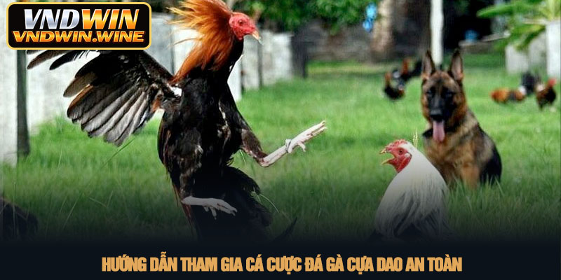 Đá gà cựa dao - Trải nghiệm giải trí kịch tính cùng VNDWIN 4 Hướng dẫn tham gia cá cược đá gà cựa dao an toàn