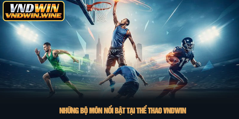 Thể thao VNDWIN - Đỉnh cao cá cược trực tuyến 2026 3 Những bộ môn nổi bật tại thể thao VNDWIN