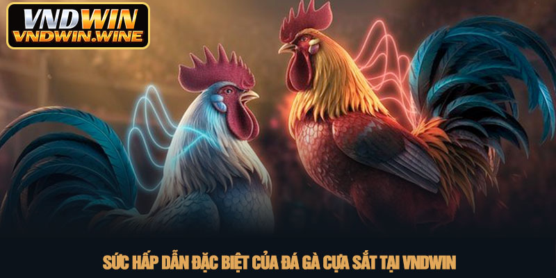 Đá gà cựa sắt - Đỉnh cao giải trí trực tuyến tại VNDWIN 2 Sức hấp dẫn đặc biệt của đá gà cựa sắt tại VNDWIN