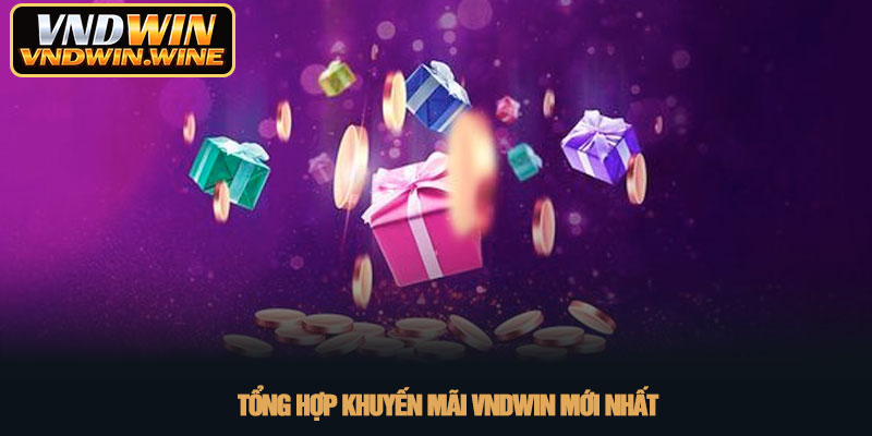 Khuyến mãi VNDWIN - Nhận quà tặng giá trị cực khủng 2026 1 Tổng hợp Khuyến mãi VNDWIN mới nhất