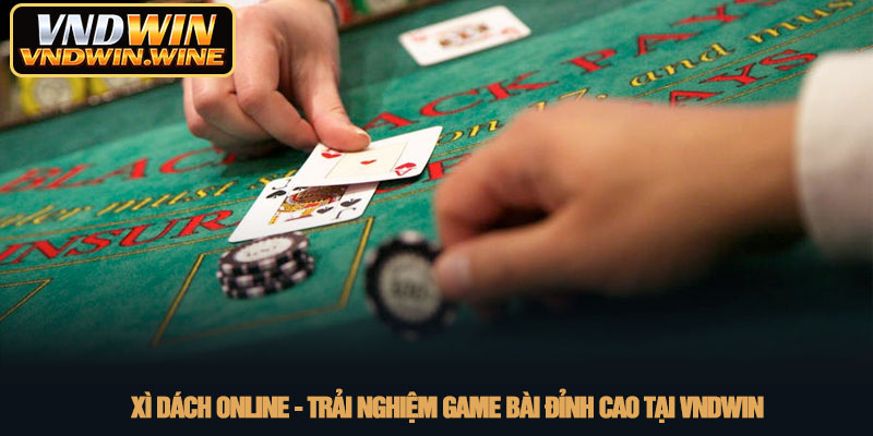 Xì dách online - Trải nghiệm game bài đỉnh cao tại VNDWIN 1 Xì dách online - Trải nghiệm game bài đỉnh cao tại VNDWIN